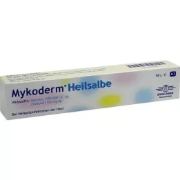 MYKODERM Healing ointment nystatin and zinc oxide, 50 g