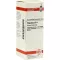 PHYTOLACCA D 4 Dilution, 20 ml
