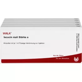 ISCUCIN Mali strength a ampoules, 50x1 ml