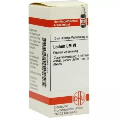 LEDUM LM VI Dilution, 10 ml