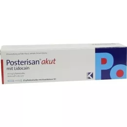 POSTERISAN Acute ointment with Analhner, 25 g