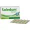 SOLEDUM 100 mg of gastric -resistant capsules, 100 pcs
