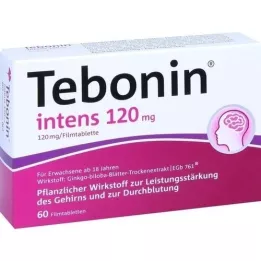 TEBONIN Intent 120 mg film -coated tablets, 60 pcs
