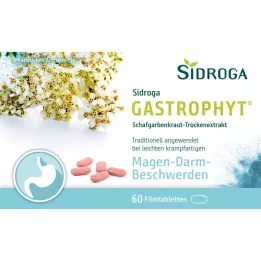 SIDROGA GastroPhyt 250 mg film-coated tablets, 60 pcs